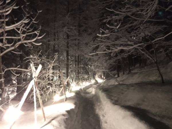 氷の散歩道