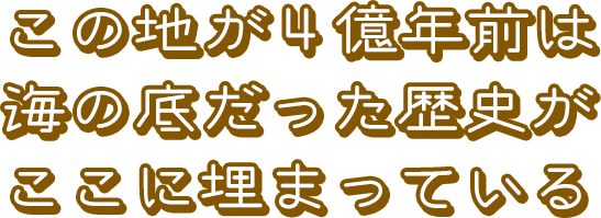 この地が４億年前は海の底だった歴史がここに埋まっている