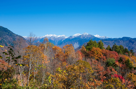 周辺案内 – 福地温泉観光協会 岐阜県高山市奥飛騨温泉郷 福地温泉